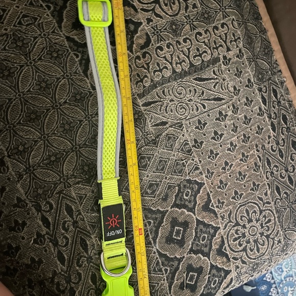 Lighted Dog Collar 3 Settings / USB Charging - Picture 7 of 9